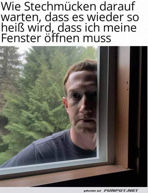 Stechm�cken-�berwachung: Fenster edition