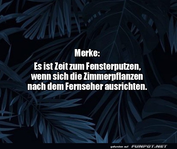 Putzalarm f�r Pflanzenliebhaber!