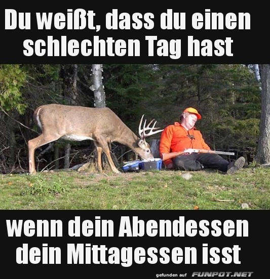 Waidmannsheil, oder auch nicht!