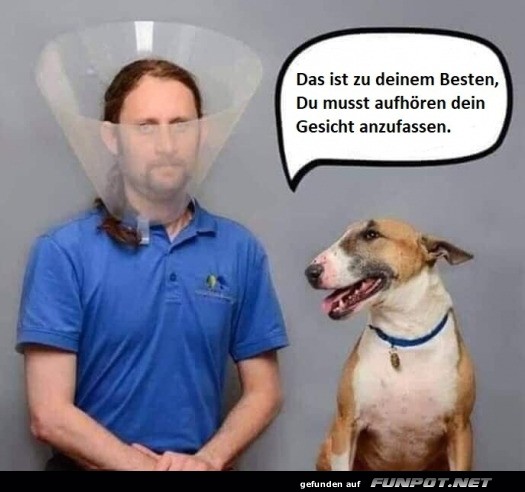 Wenn der Hund Arzt spielt