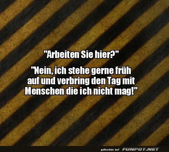 Wenn Sarkasmus zur Pflicht wird