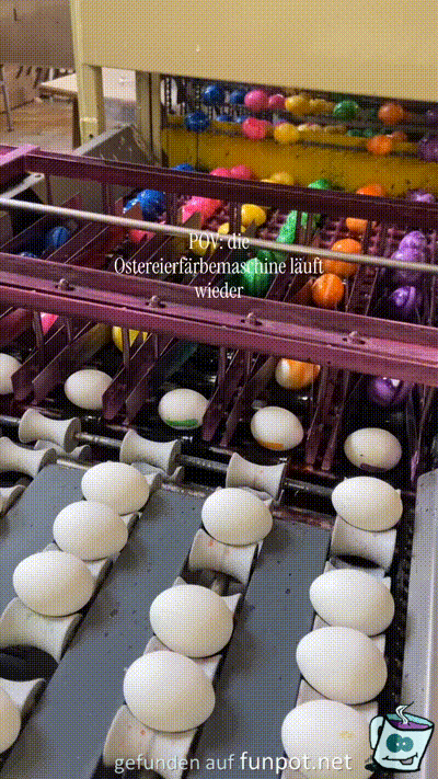 Eier f�r Ostern werden gef�rbt