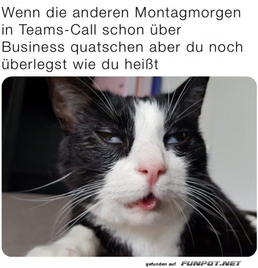 Montagsblues im Teams-Call