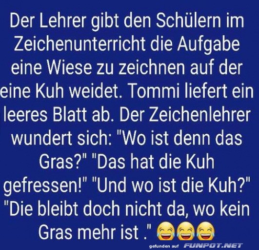 Tommis Kunstwerk: Unsichtbare K�he!