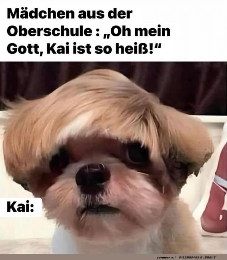 Wenn Kai zum Star wird!