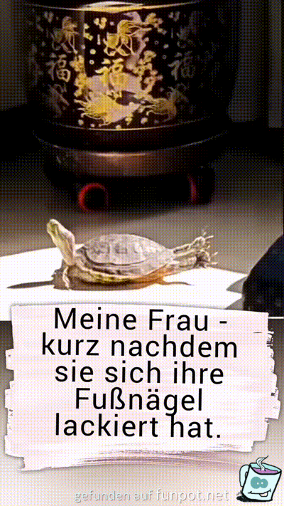 witzige animierte Bilder aus verschiedenen Blogs