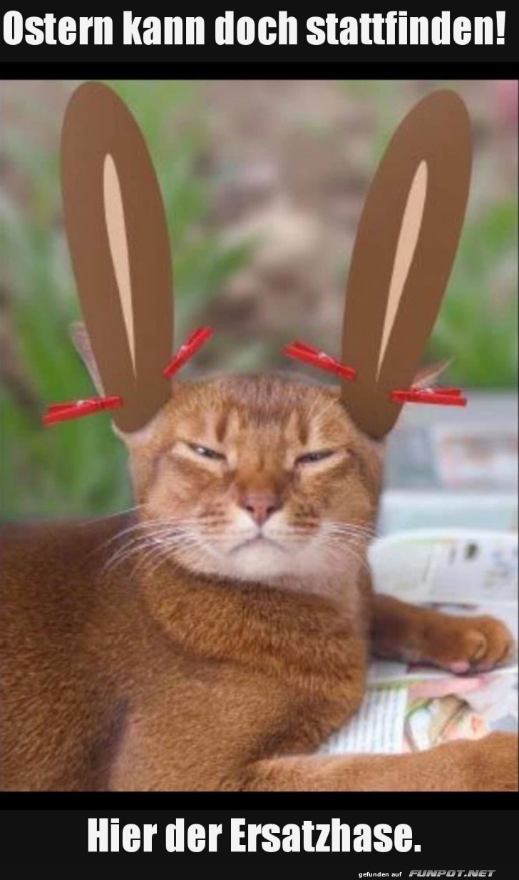 Plan B: Der alternative Osterhase