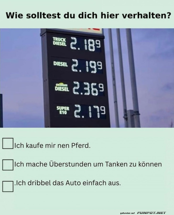 Pferd statt Porsche: Kraftstoffkrise 2023