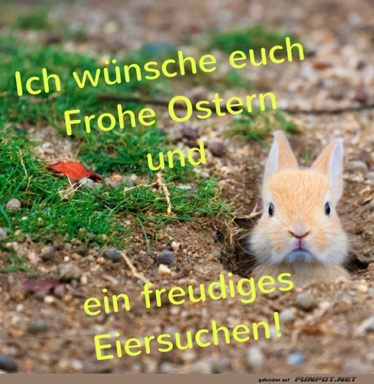 Versteckt, aber nicht vergessen: Frohe Ostern!