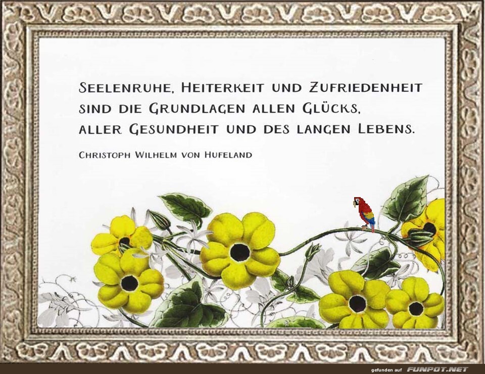 Seelenruhe, Heiterkeit, Zufriedenheit