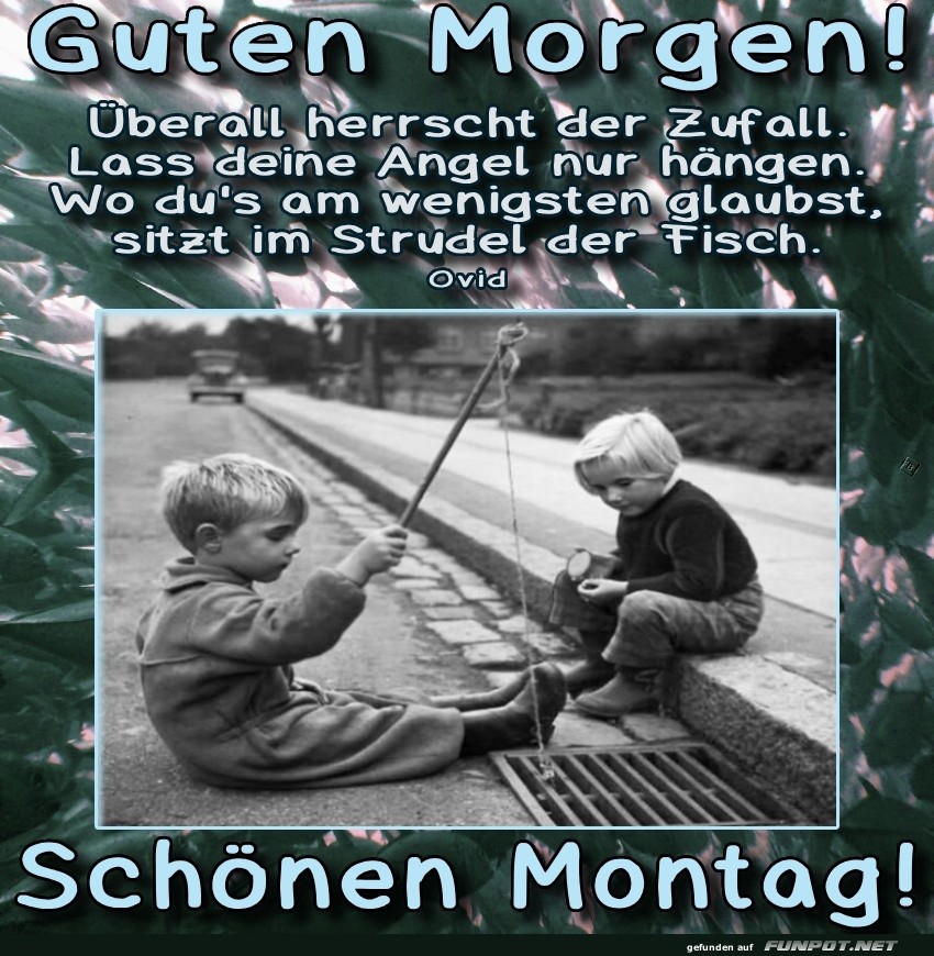 Montagmorgen: Angelschein f�r Anf�nger!
