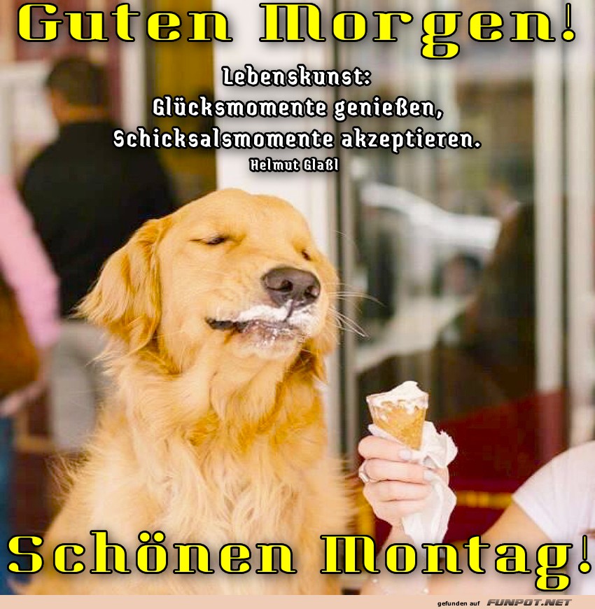L�cheln eines Hundes f�r Montagmorgen-Blues