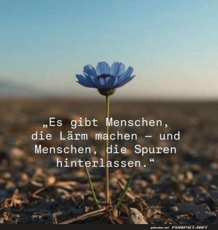 Wenn Blumen Philosophieren