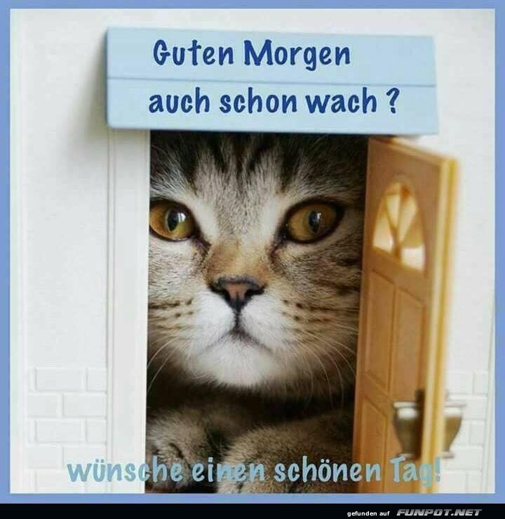 Guten Morgen