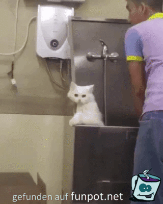 witzige animierte Bilder aus verschiedenen Blogs