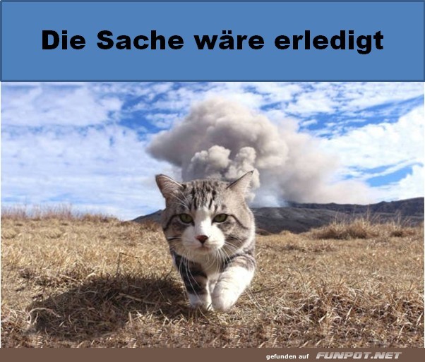 Mission erf�llt: Miau mit Knall!