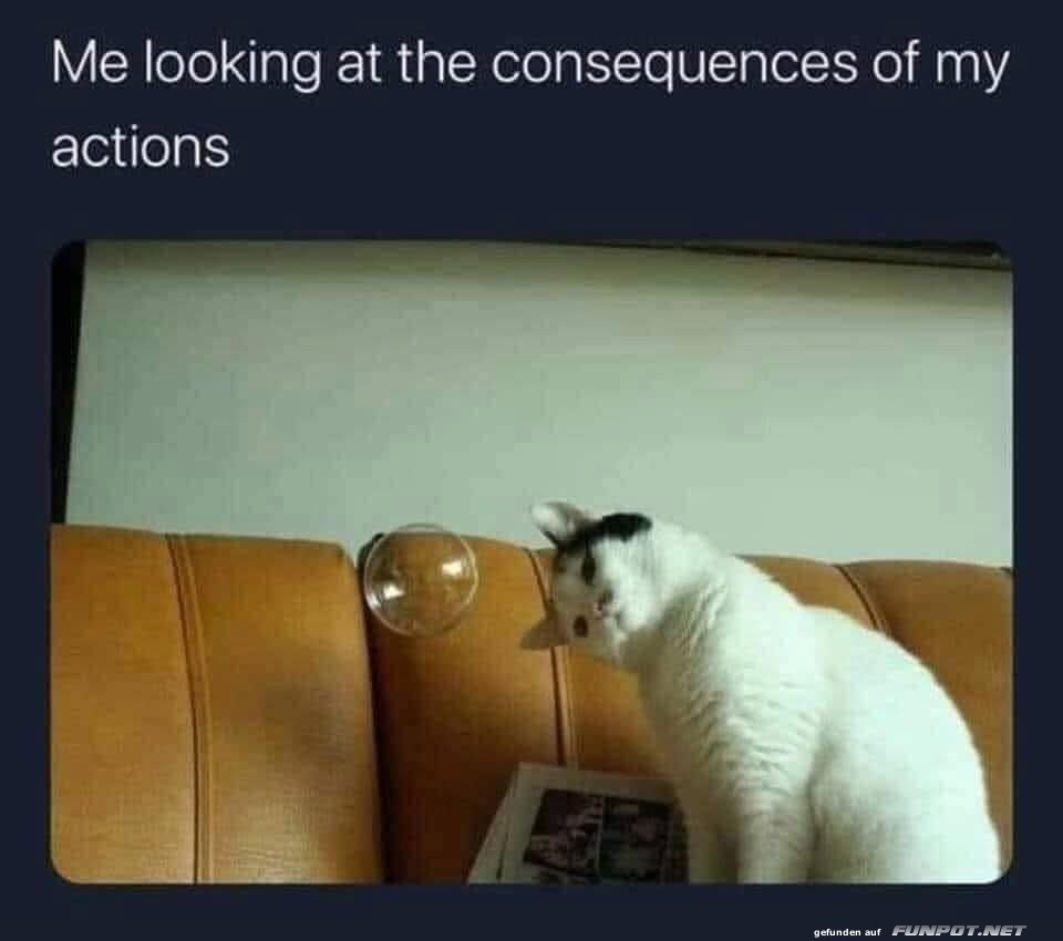 Wenn die Blase platzt!