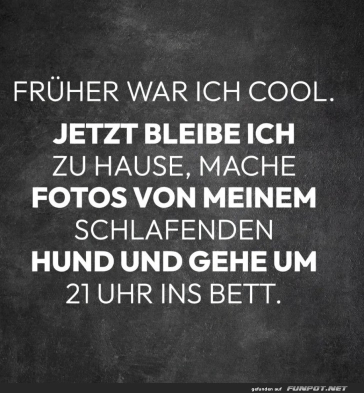 Vom Partyg�nger zum Hundepaparazzo