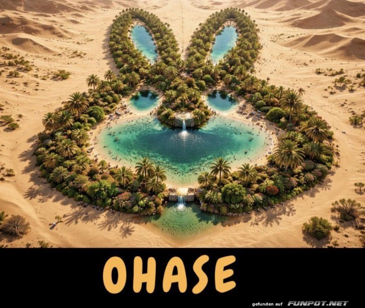 Oase der besonderen Art: Bunny Style