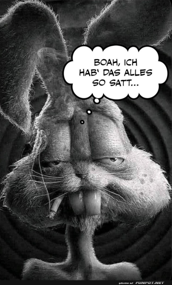 M�der Hase nach einer langen Woche