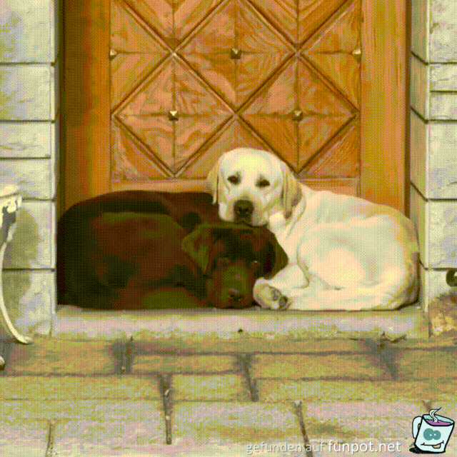 Gem�tliches Pl�tzchen