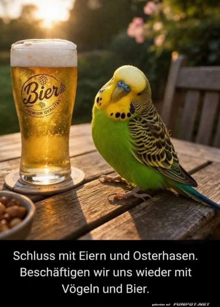 Vogelnachmittag mit Bier