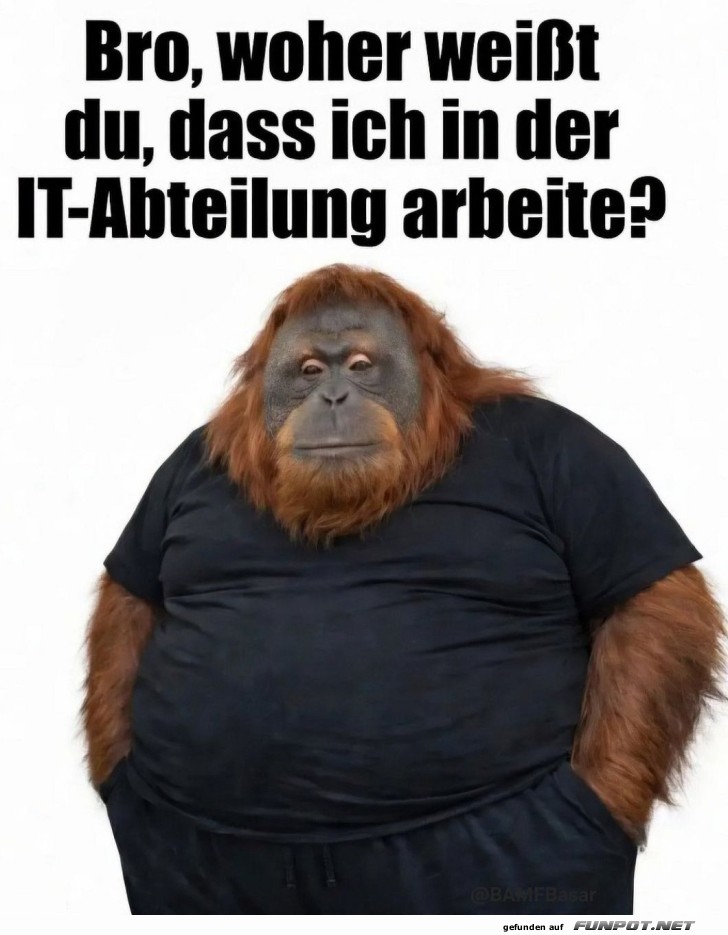 Orang-Utan im IT-Modewahnsinn