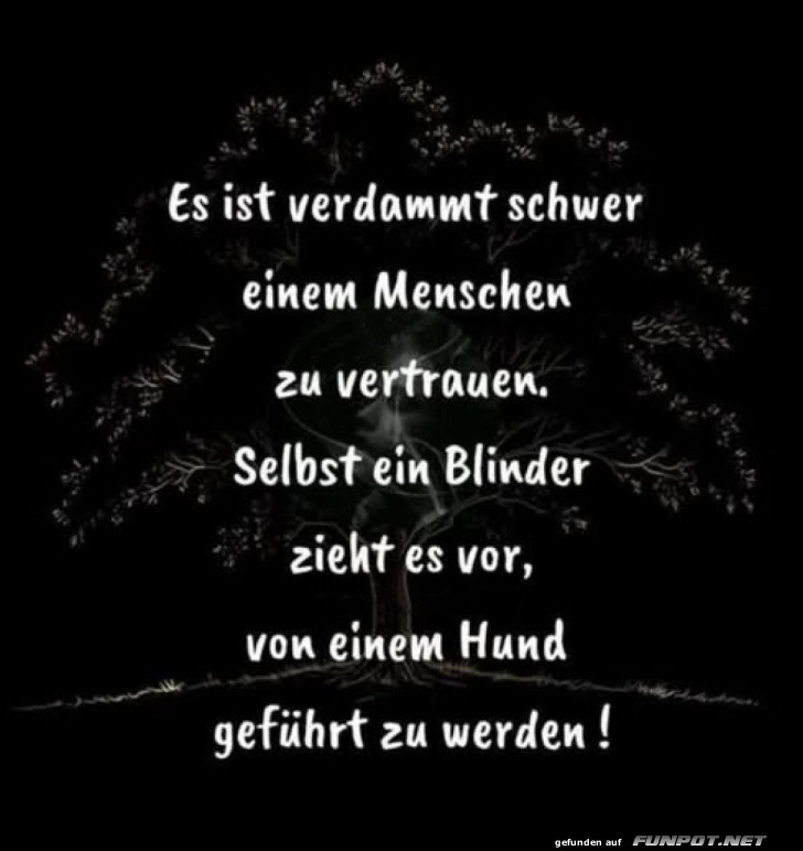 Warum Blinde Hunde bevorzugen