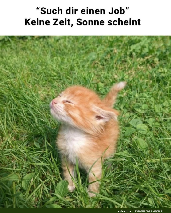 Karriereplanung für Sonnenanbeter