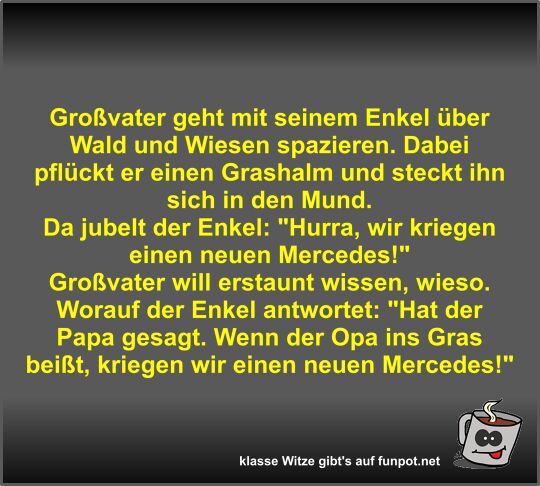 Gro�vater geht mit seinem Enkel �ber Wald und Wiesen...