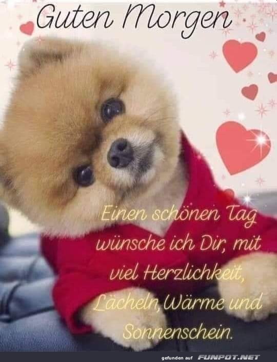 Guten Morgen