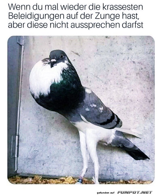 Da hat sich was angestaut