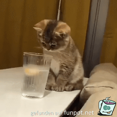 Was ist denn das? Was ist denn das?