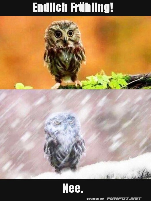 Endlich Frühling