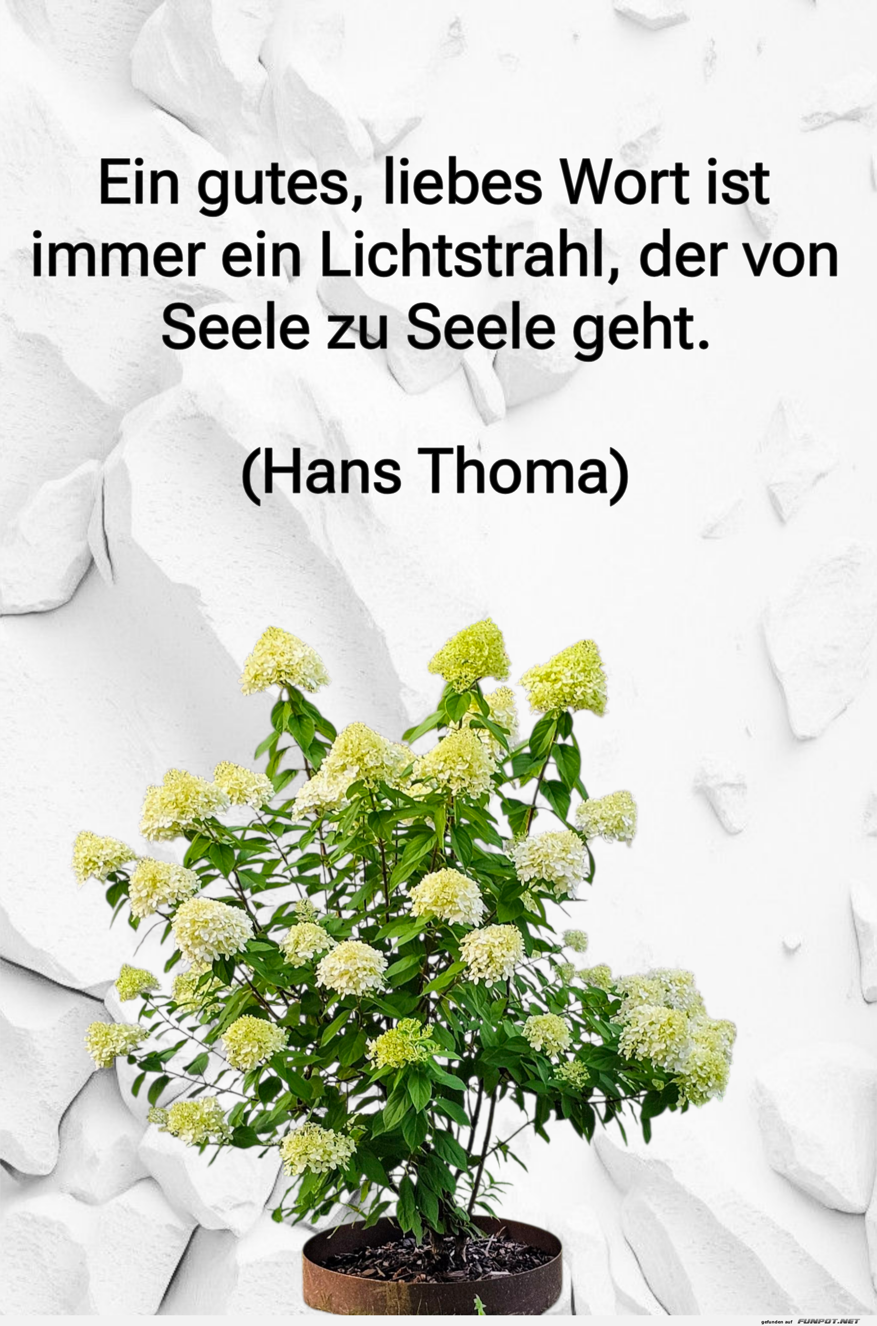 ein gutes liebes wort