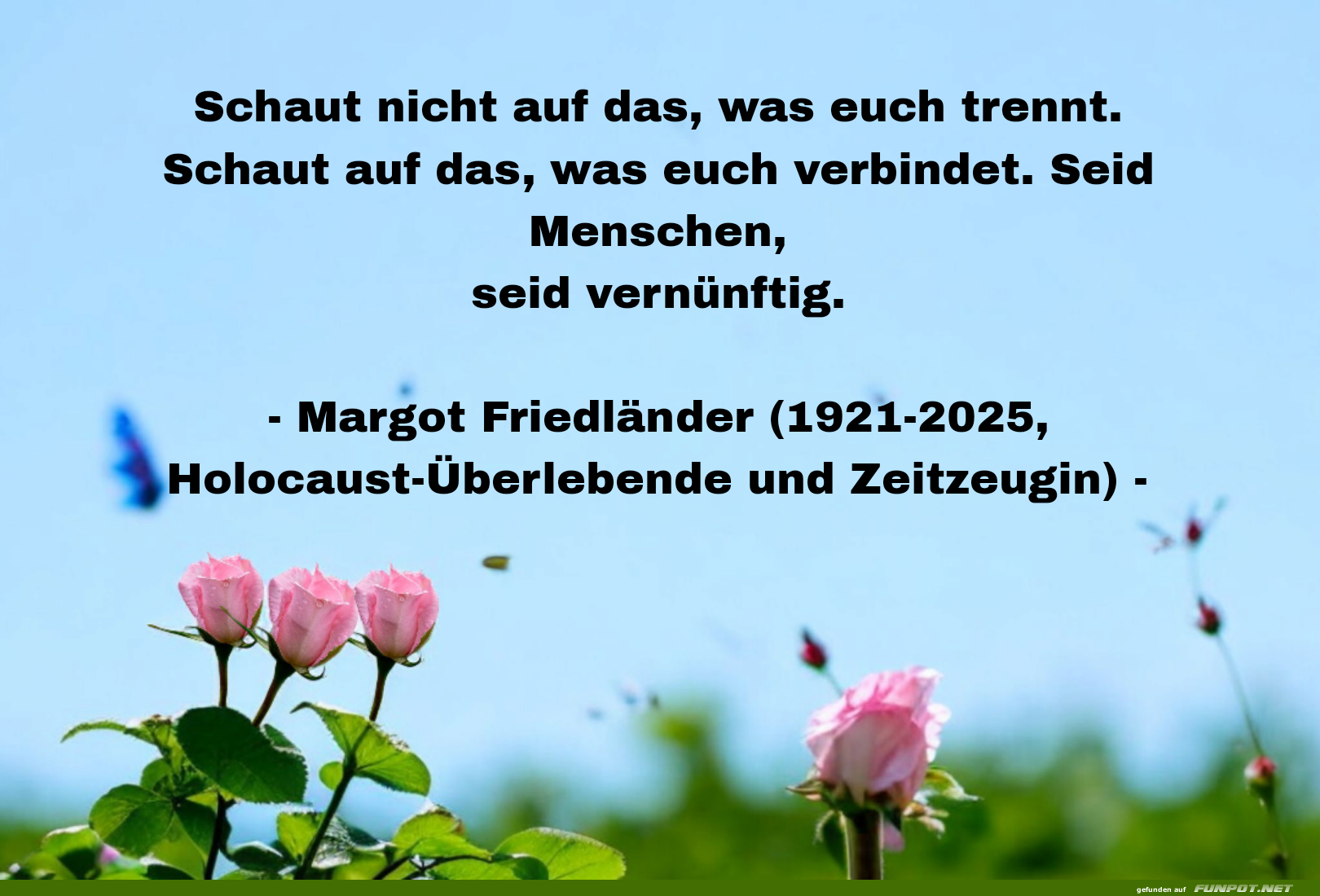 schaut nicht auf das