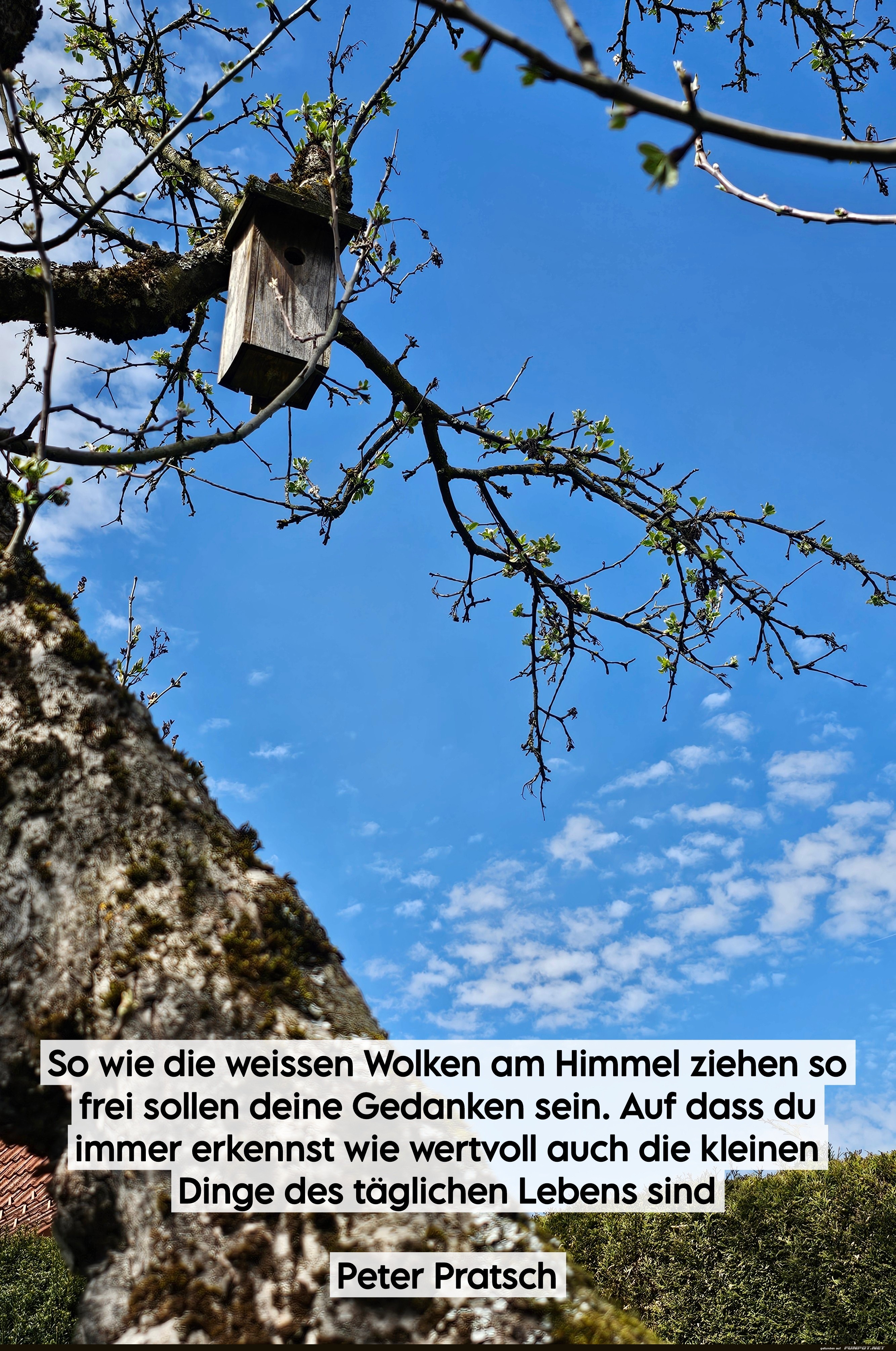 so wie die weissen wolken