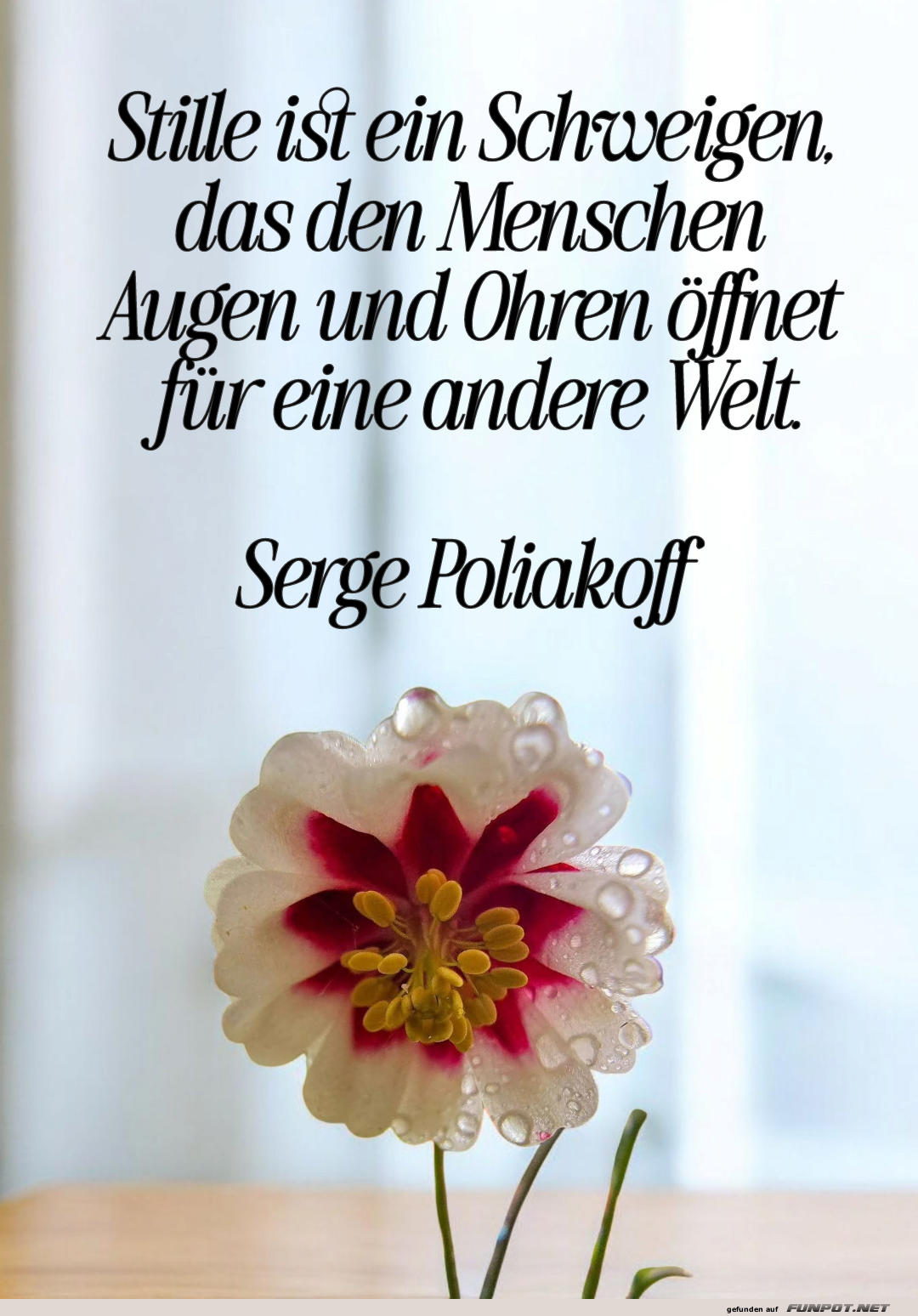 stille ist ein schweigen