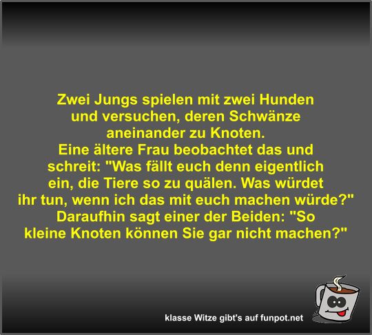 Zwei Jungs spielen mit zwei Hunden und versuchen
