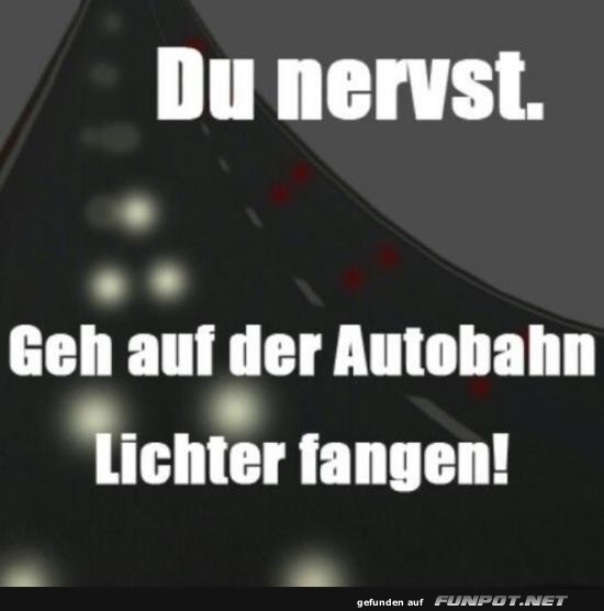 Innovative Freizeitideen f�r Nervens�gen!