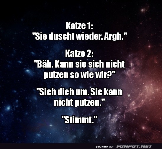 Wenn Katzen �ber Menschen l�stern