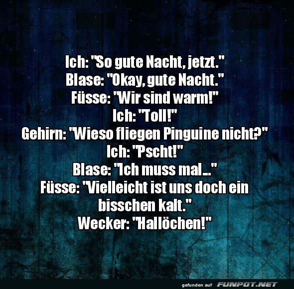 Das n�chtliche Gedankenchaos