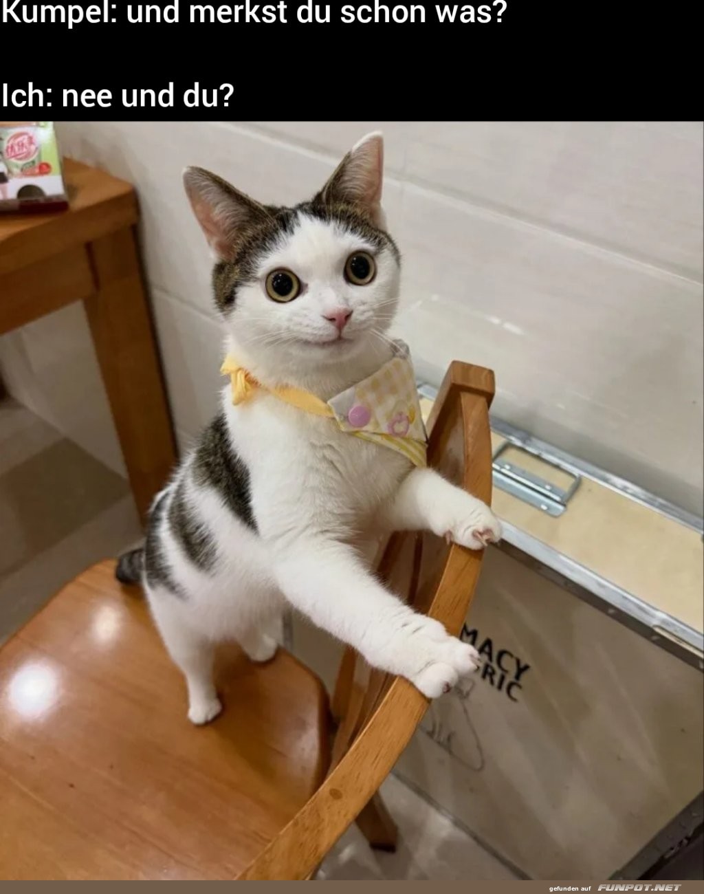 Wenn die Verlegenheit zuschl�gt