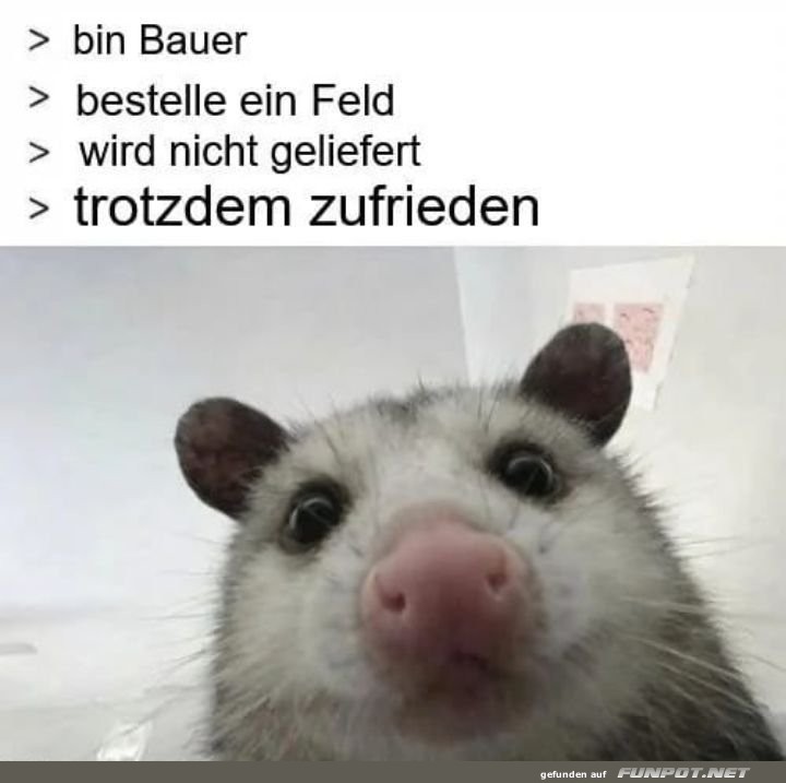 Bestellung nicht angekommen? Kein Problem!