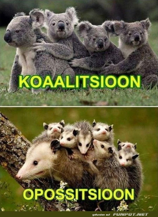 Tier-Parlamente: Die Versammlung der Natur