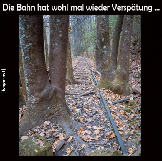 Waldabenteuer statt Zugfahrt!