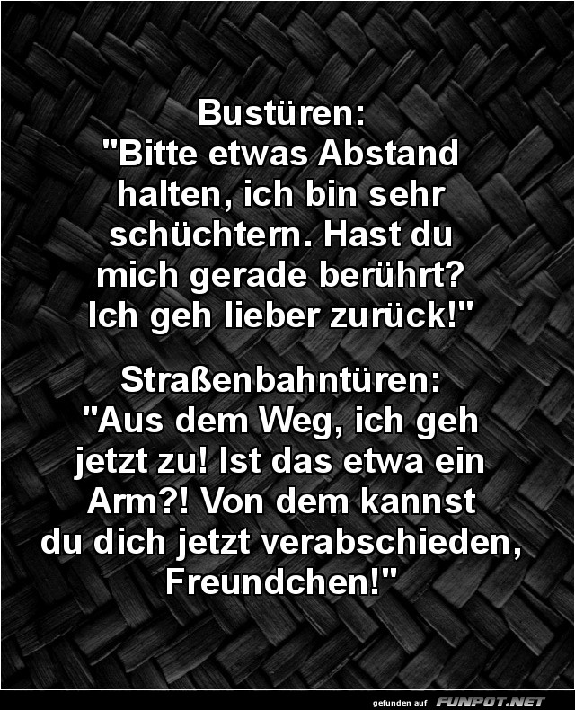 Bussitze vs. Stra�enbahnsitze: Wer gewinnt?