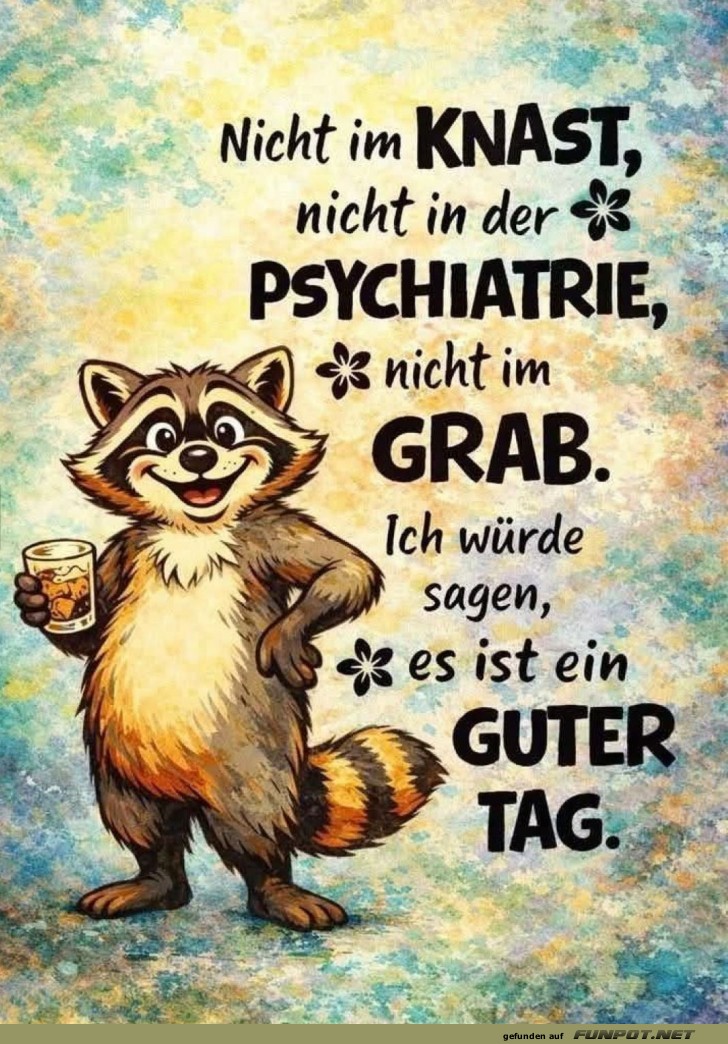 Waschb�r-Optimismus: Ein guter Tag!