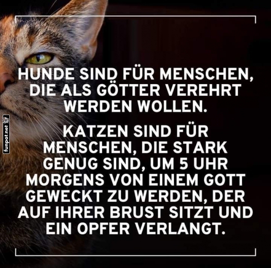 Warum Katzen keine G�tter brauchen