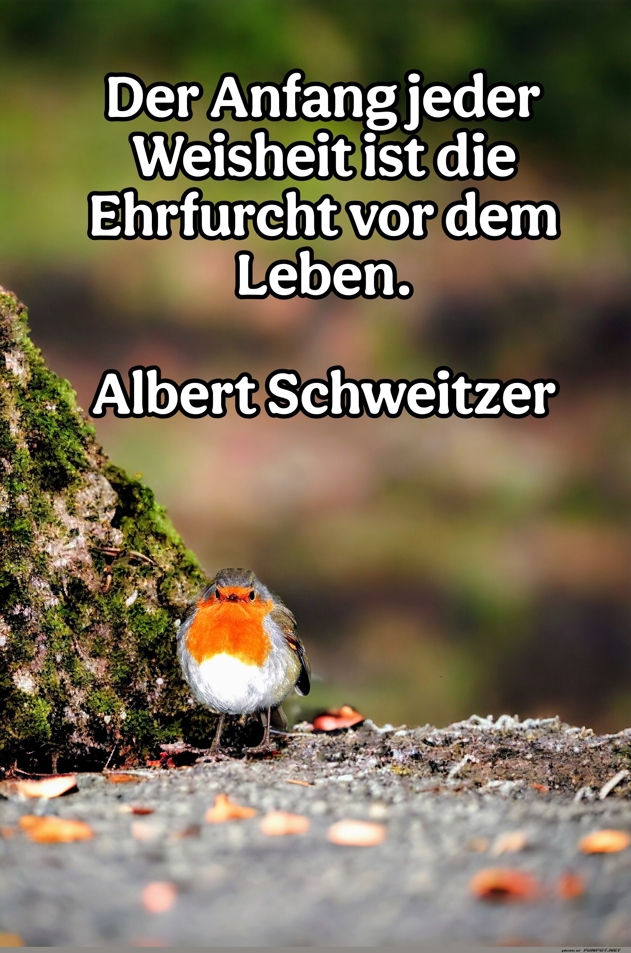 der anfang jeder weisheit